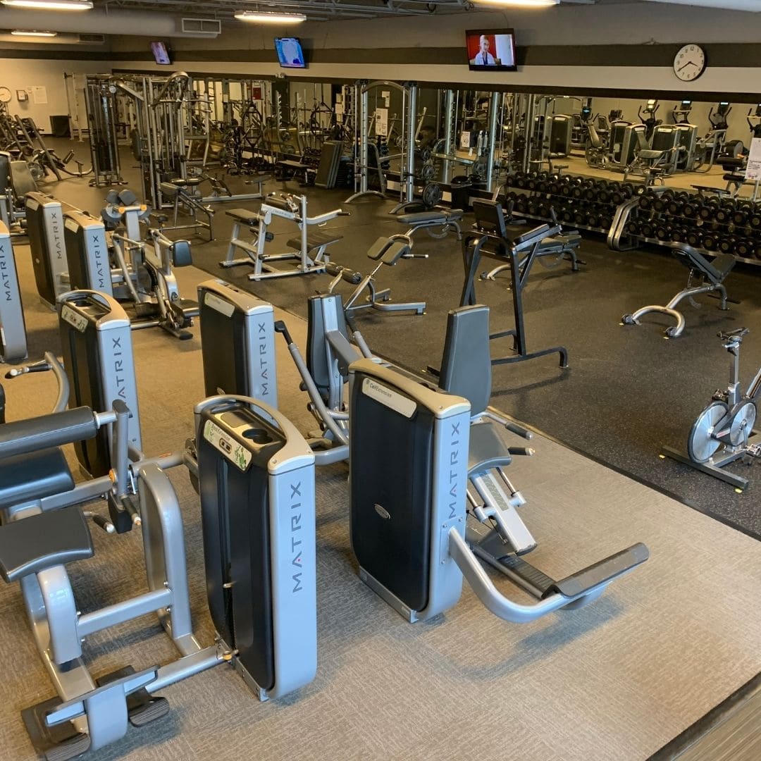 Row of squat racks on the LIV Fitness gym floor